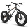 A20316 20 Inch Fat Tire Bike Adult/Youth Full Shimano 7 Speed Mountain Bike, Dual Disc Brake, High-Carbon Steel Frame, Front Suspension, Mountain Trai