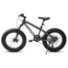 A20316 20 Inch Fat Tire Bike Adult/Youth Full Shimano 7 Speed Mountain Bike, Dual Disc Brake, High-Carbon Steel Frame, Front Suspension, Mountain Trai